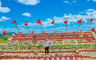 Lula defende distribuição de terras públicas para reforma agrária